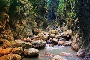 جنگل تنگ دار نوشهر آمازون ایران | معرفی+ویدیو+لوکیشن