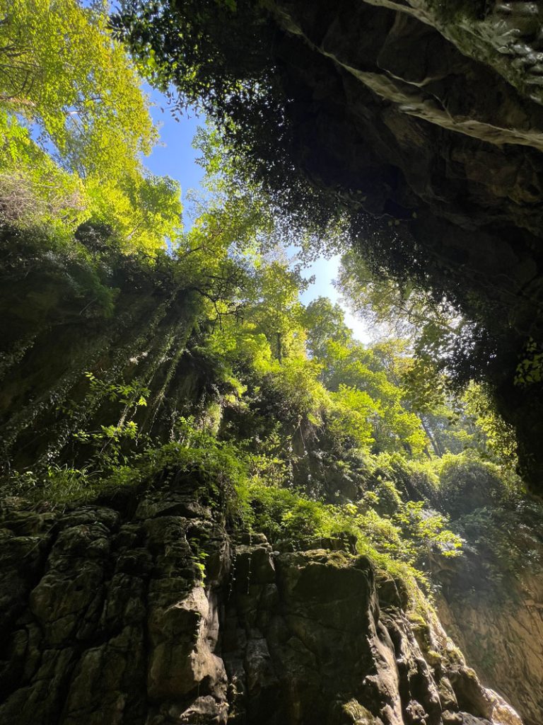 سرسبزی اطراف تنگه