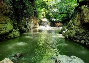 تنگه دار نوشهر 