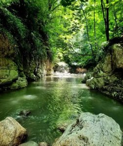 نمای دیگر جنگل تنگه دار