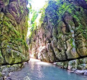 جنگل تنگ دار نوشهر