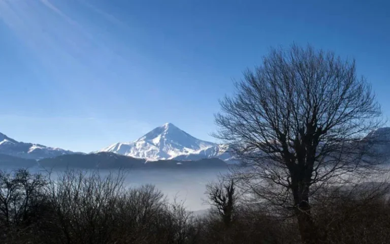 برف در الیمستان