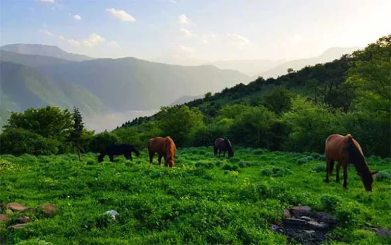 طبیعت بکر الیمستان