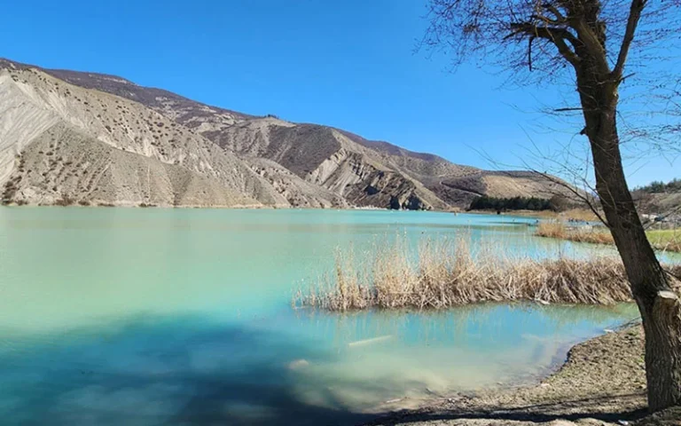 ولشت در تابستان