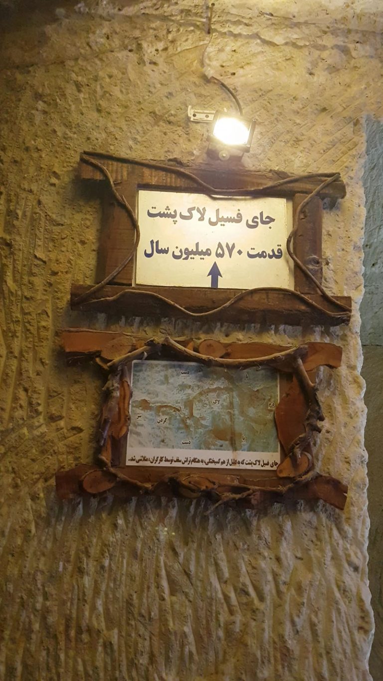 تابلو وردی لاکپشت باستانی