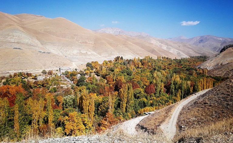 نمای کلی روستای برغان در پائیز
