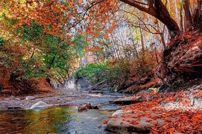 رودخانه برغان در پائیز