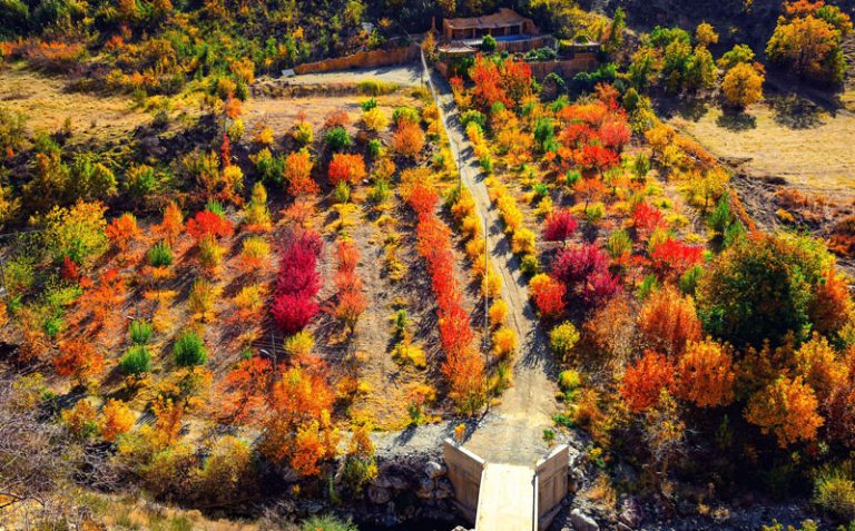 باغ های محلی برغان