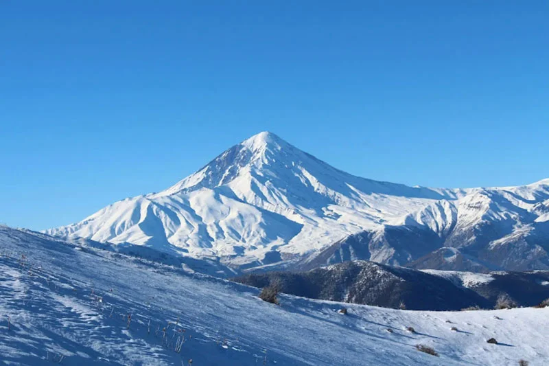 جنگل الیمستان در زمستان