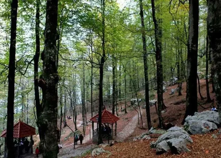 کمپینگ و آلاچیق نمک آبرود