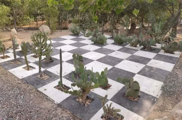 گیاهان باغ گیاه شناسی کیش