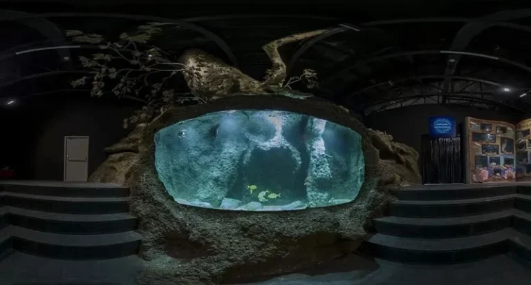 داخل اقیانوس آب و آتش