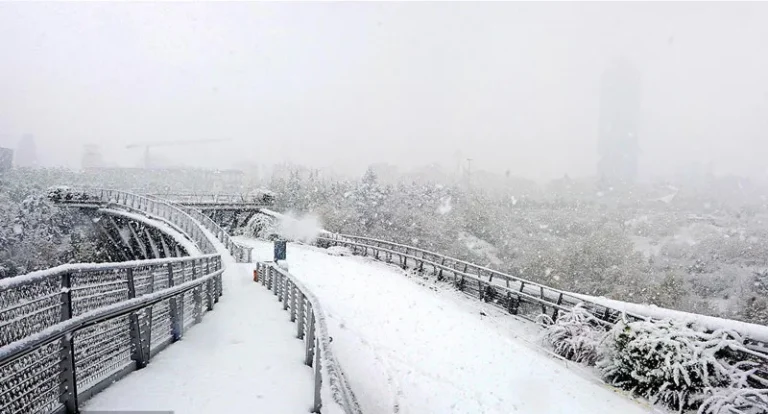 پل طبیعت در زمستان