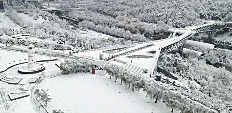 پل طبیعت در برف