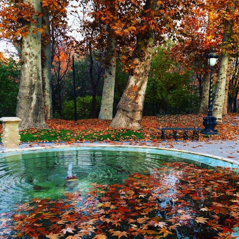 آبنما و فضای پائیری