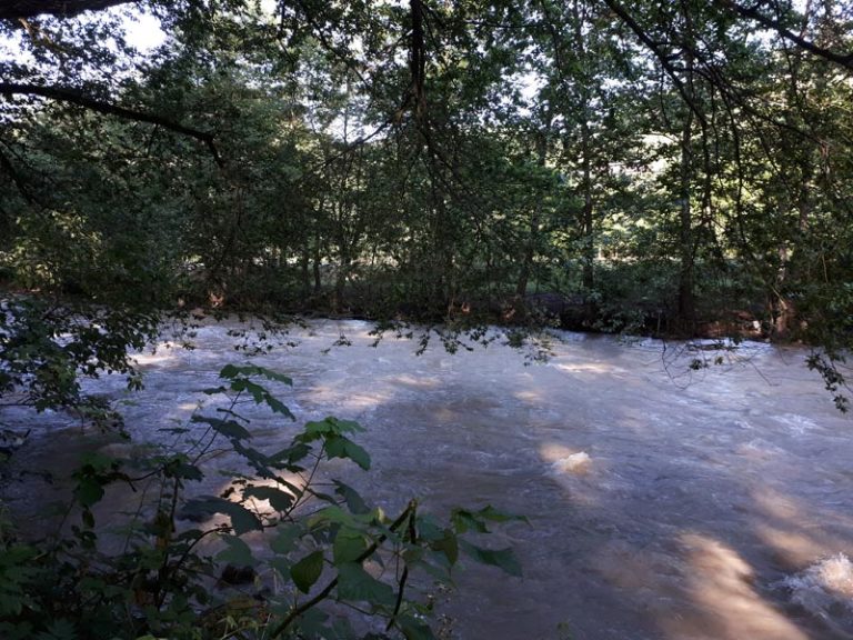 نمای دیگر از رودخانه