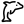 شنا با دلفین ها