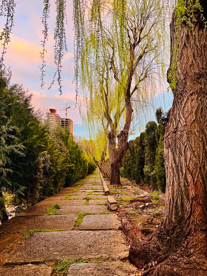 نمایی از پارک ساعی