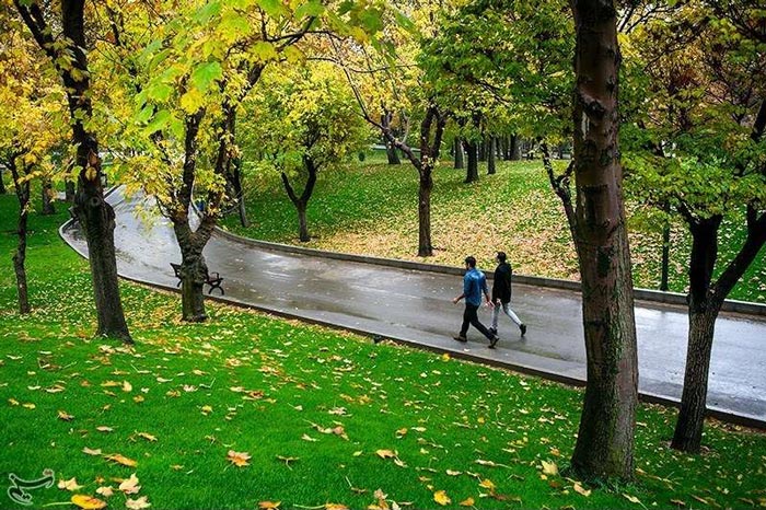 مسیر پیاده روی پارک