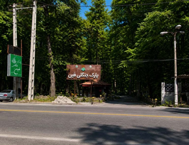 پارک جنگلی فین در جاده چالوس