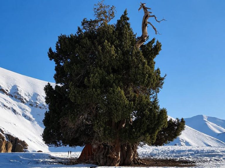 هوای زمستانی
