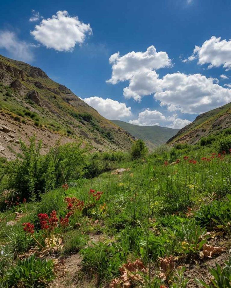 منظره اطراف آبشار