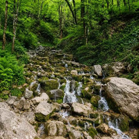 آبشار سرسبز