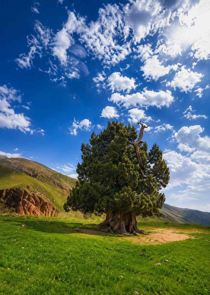 فضای بهاری