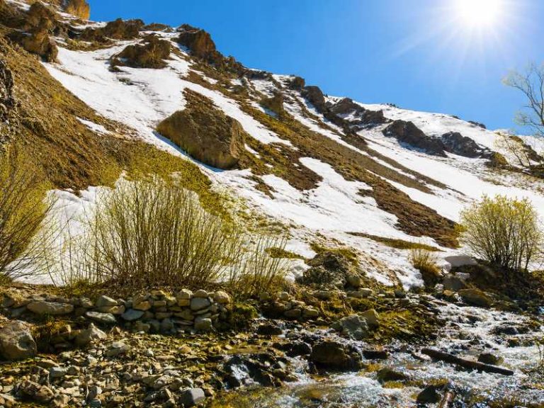 برف روی کوه ها