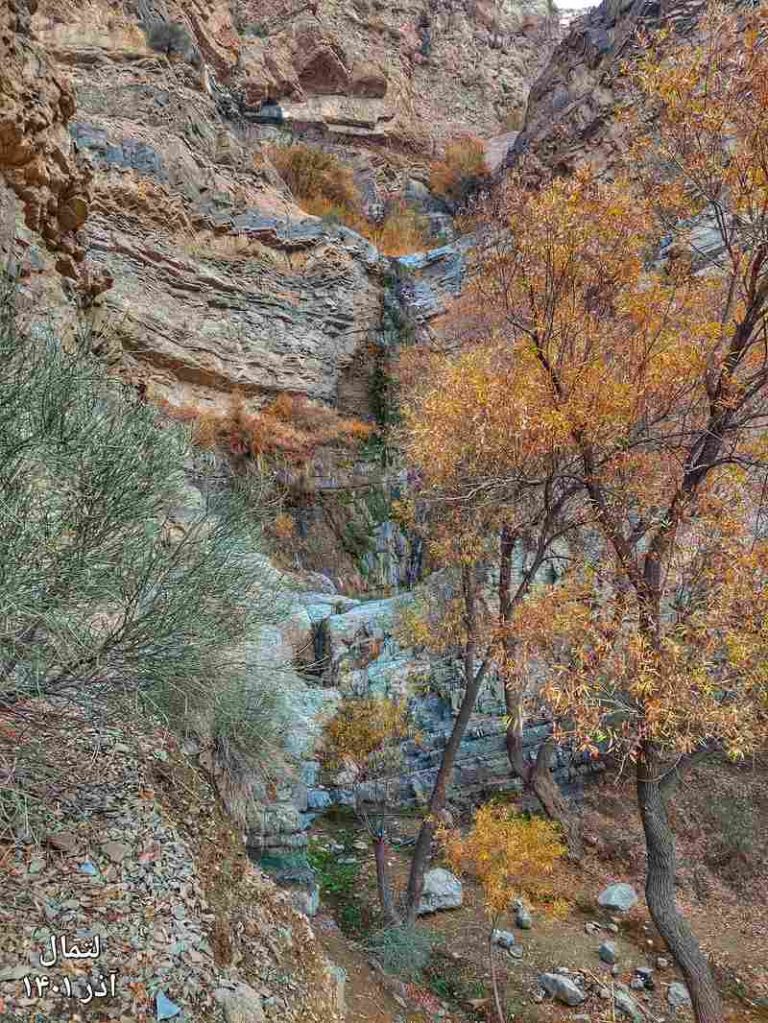 درختان پاییزی