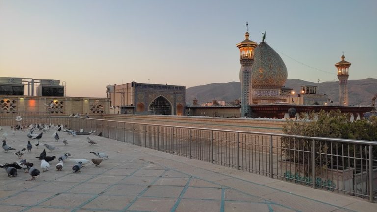 کبوتران زیارتگاه