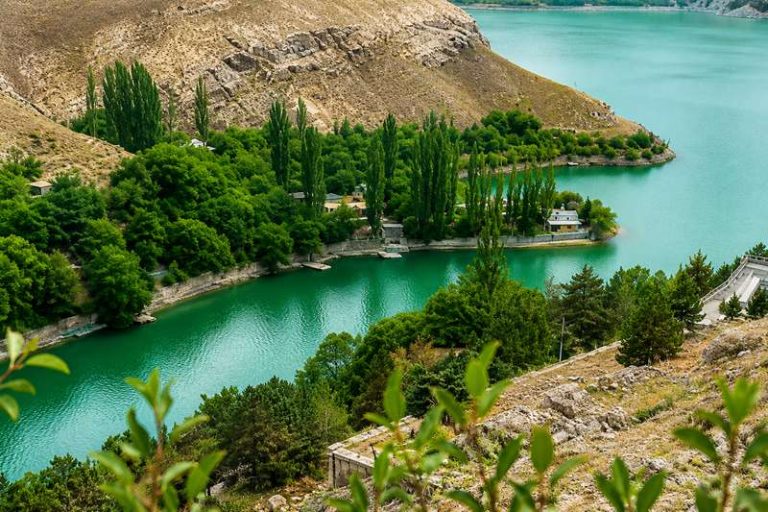 منظره سرسبز