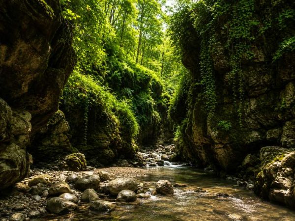 نمای طبیعت