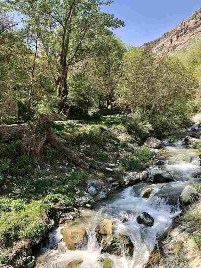 جویبار طبیعی