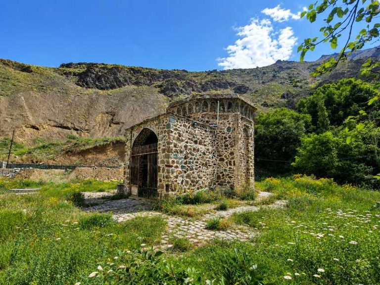 طبیعت سرسبز