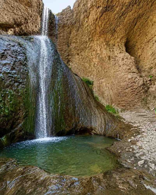 دیوار خزه دار