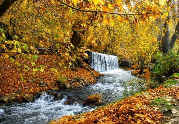 نمای پائیزی ابشار
