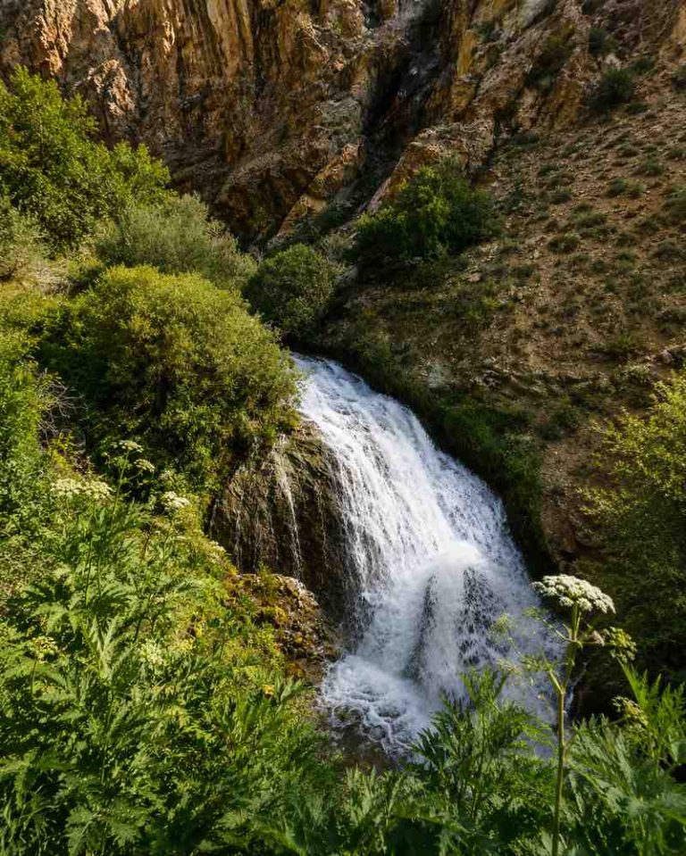 طبیعت بکر