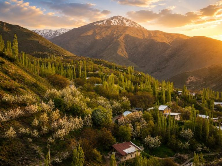 شکوفه های کوهستانی