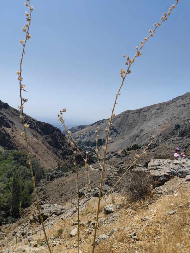 چشم انداز کوهستانی