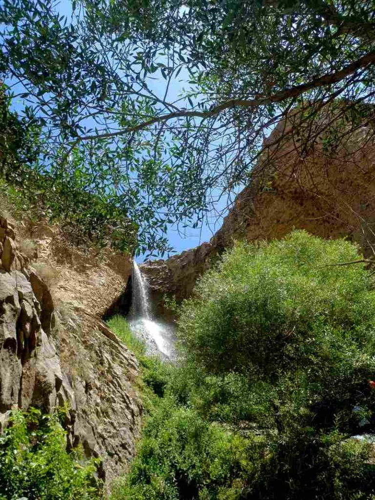 منظره سرسبز