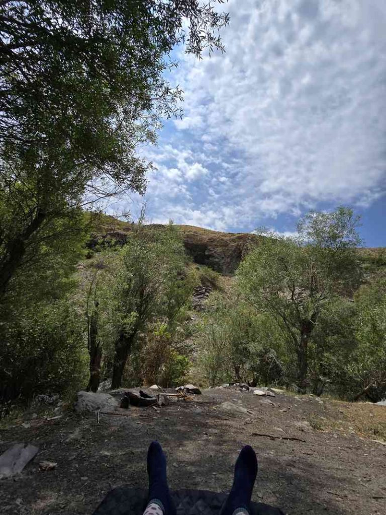 طبیعت سبز