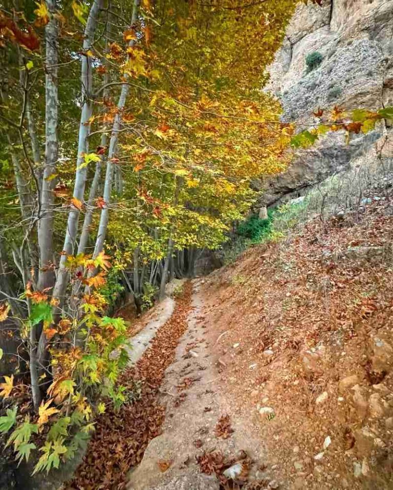 مسیر پاییزی کوهستان