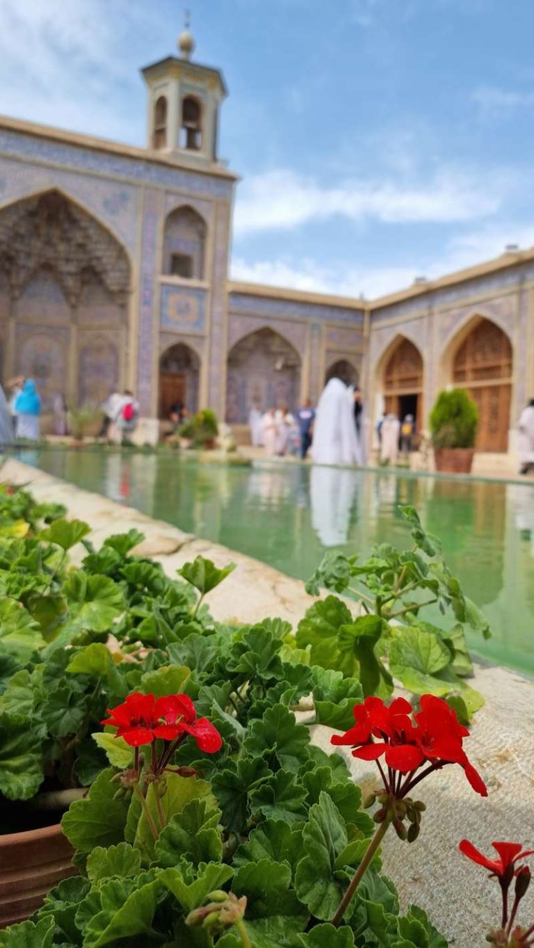 حیاط سرسبز مسجد