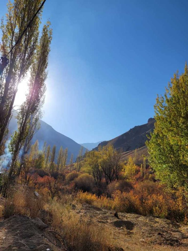 آفتاب پاییزی