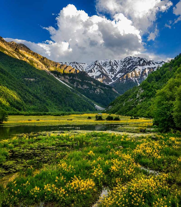 چشم انداز بهاری