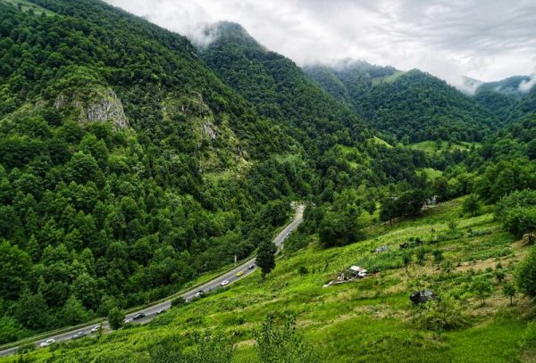 نمای سبز و مه از بالا