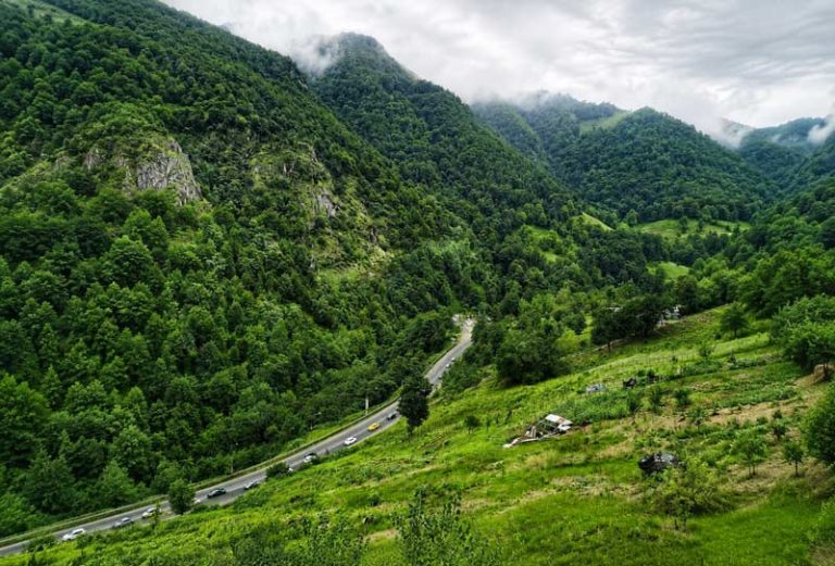 نمای سبز و مه از بالا
