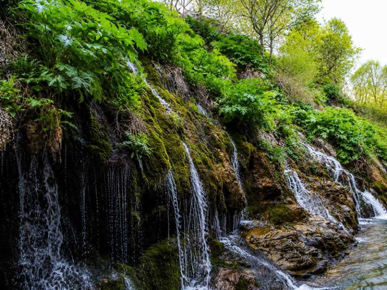آبشار در لابه‌لای درختان