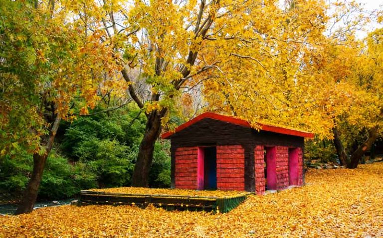 زیبای پائیز سراب